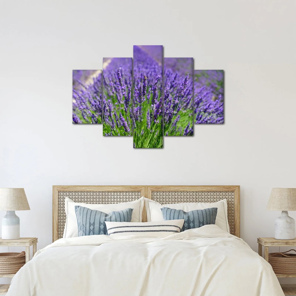 Tablou - lavanda (150x105 cm)
