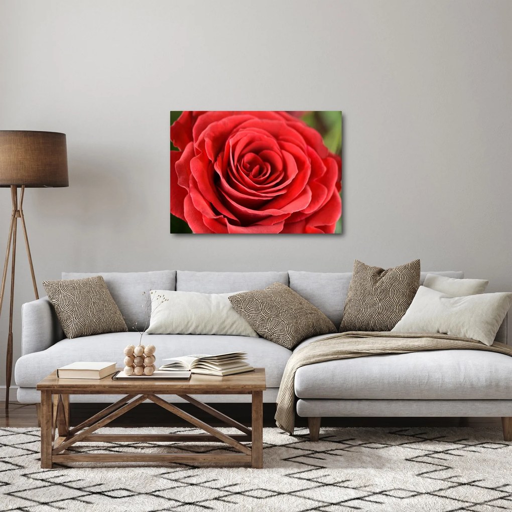 Tablou - Flori de trandafir (70x50 cm)