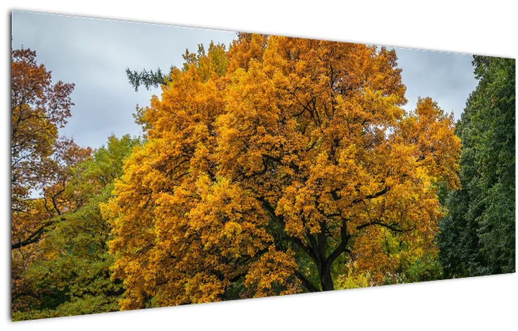 Tablou cu copac (120x50 cm)