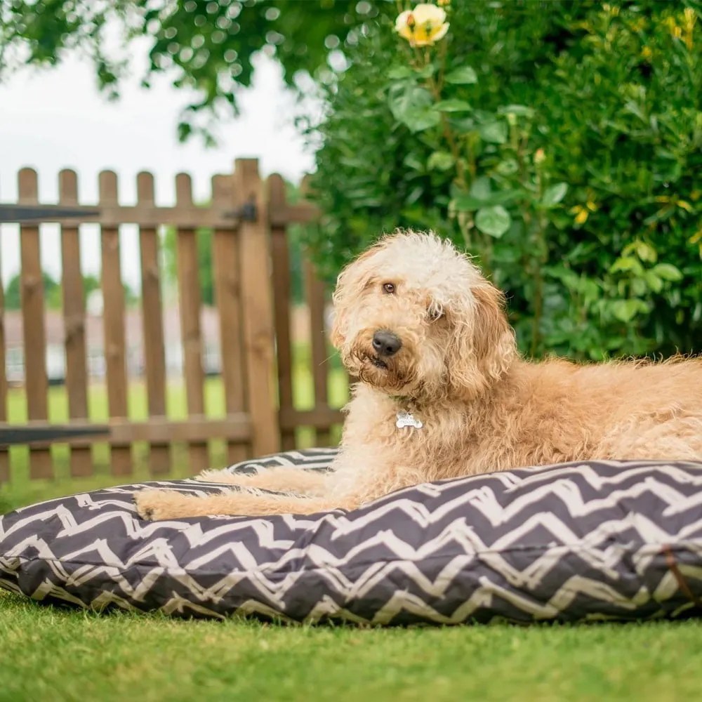 Pat pentru animale de companie negru pentru câini 70x90 cm Outdoor Bed Barn Raven Black M – P.L.A.Y.