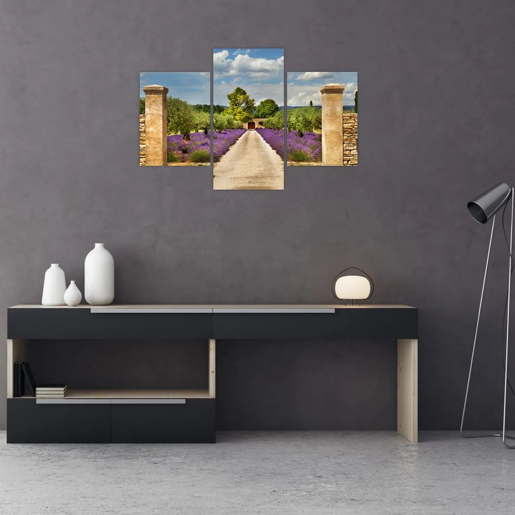 Tablou - Căi de lavandă (90x60 cm)