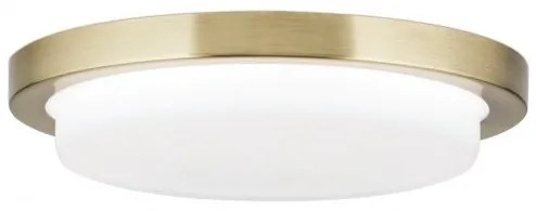 Plafoniera LED moderna LEROX 20cm alama antique