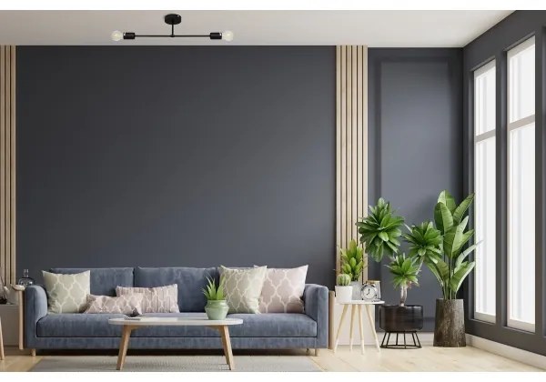 Lustră aplicată CAMBRIDGE 2xE27/15W/230V neagră