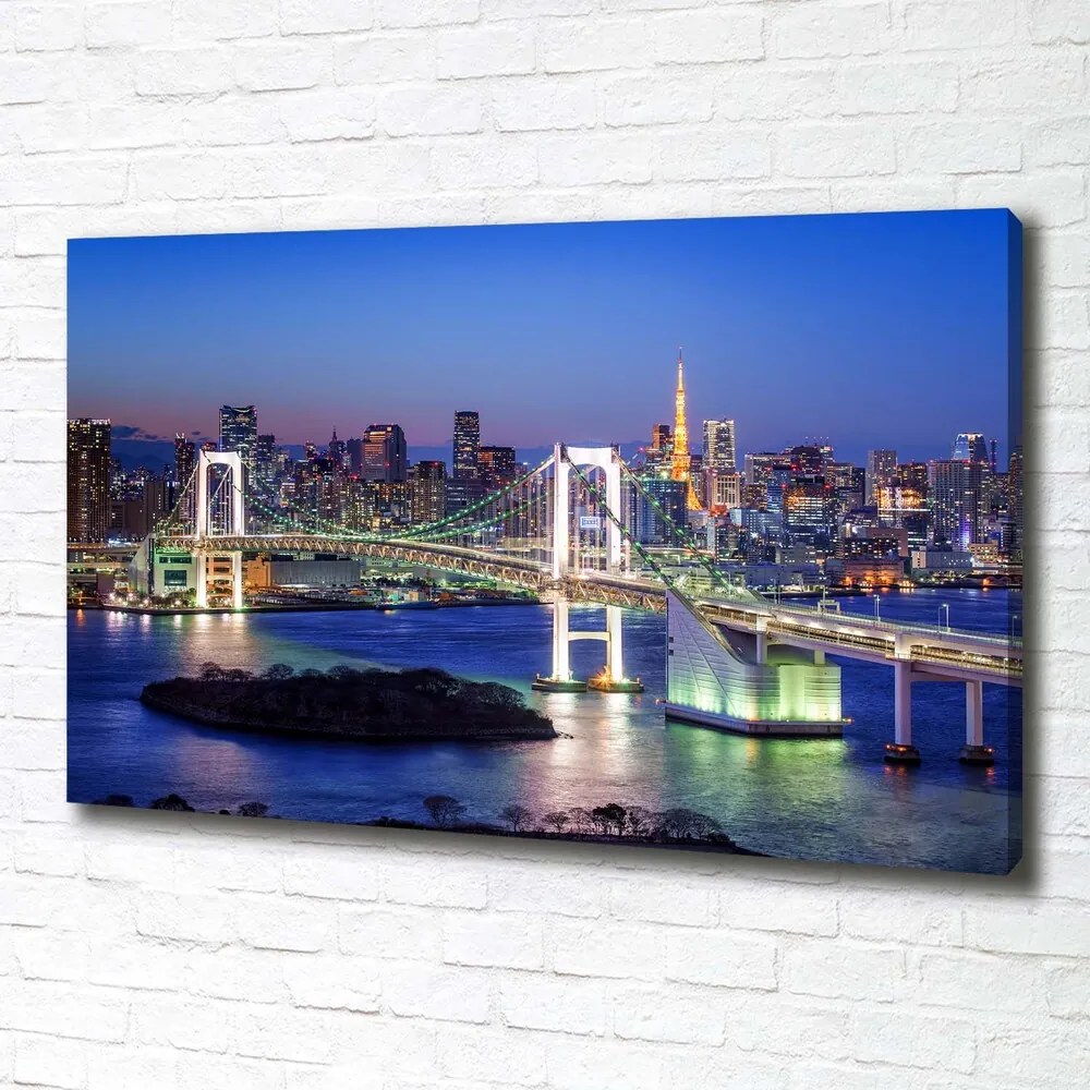 Pictură pe pânză Podul din tokyo