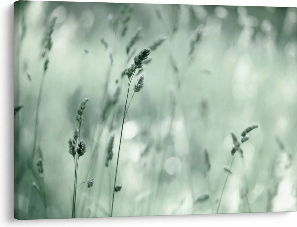Tablou - Pajiște verde (70x50 cm)