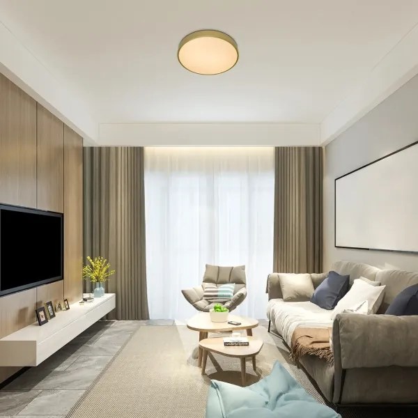 Rabalux 71038 -LED Plafonieră LED dimabilă TESIA LED/60W/230V 3000-6000K+telecomandă