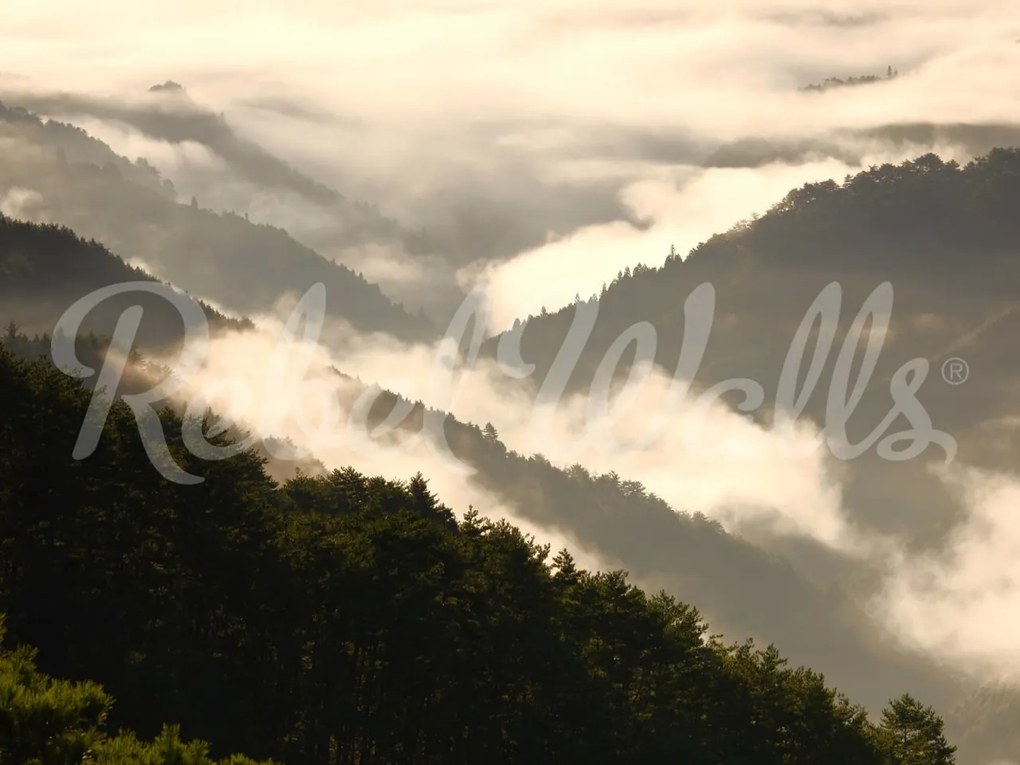 Tapet Mountain View, Rebel Walls