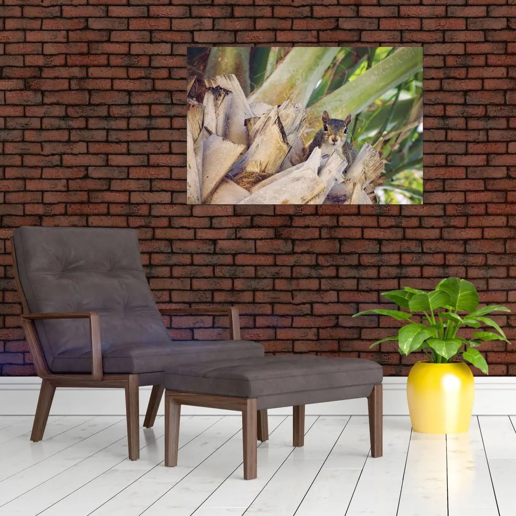 Tablou cu veverița în copaci (90x60 cm)