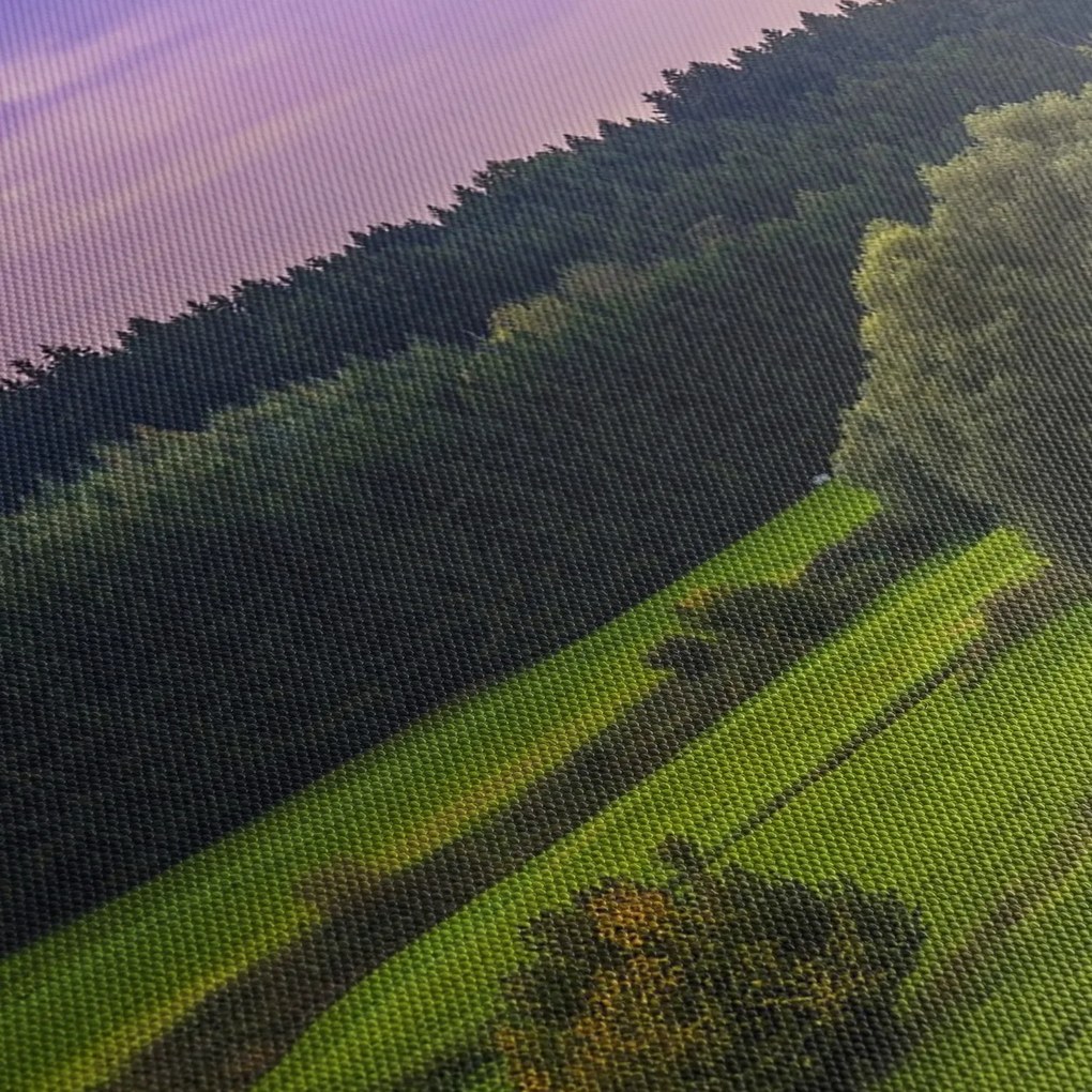 Tablou cu lunca (120x50 cm)