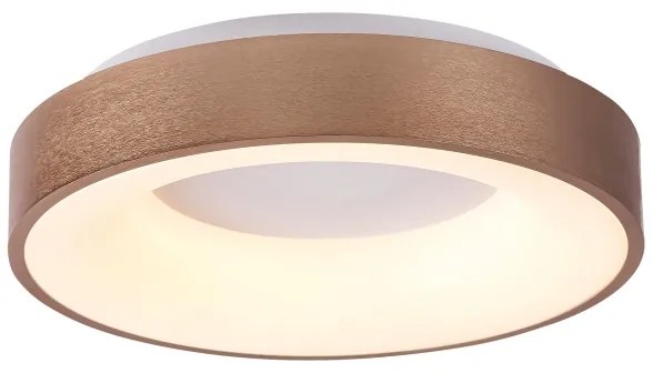 Rabalux 5052 - Plafonieră LED CARMELA LED/30W/230V
