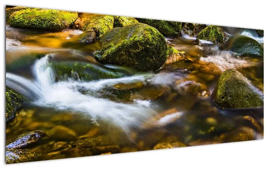 Tablou cu părâu (120x50 cm)