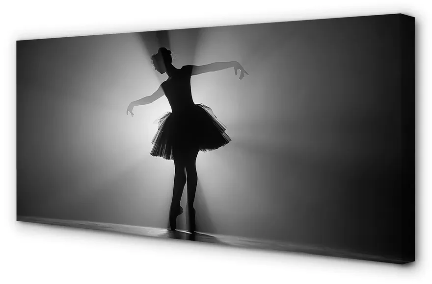 Tablouri canvas Balerina fundal gri