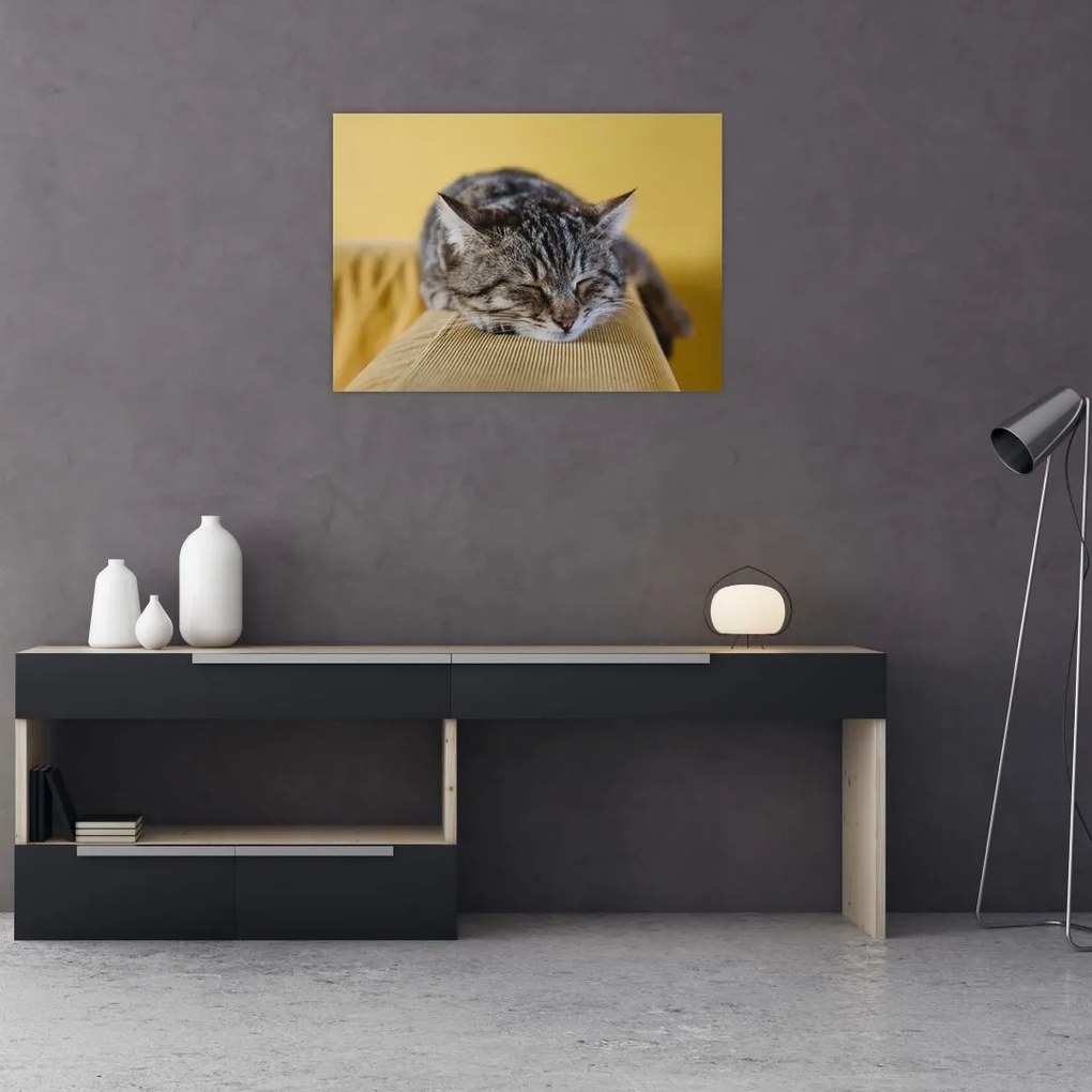 Tablou cu pisica pe fotoliu (70x50 cm)