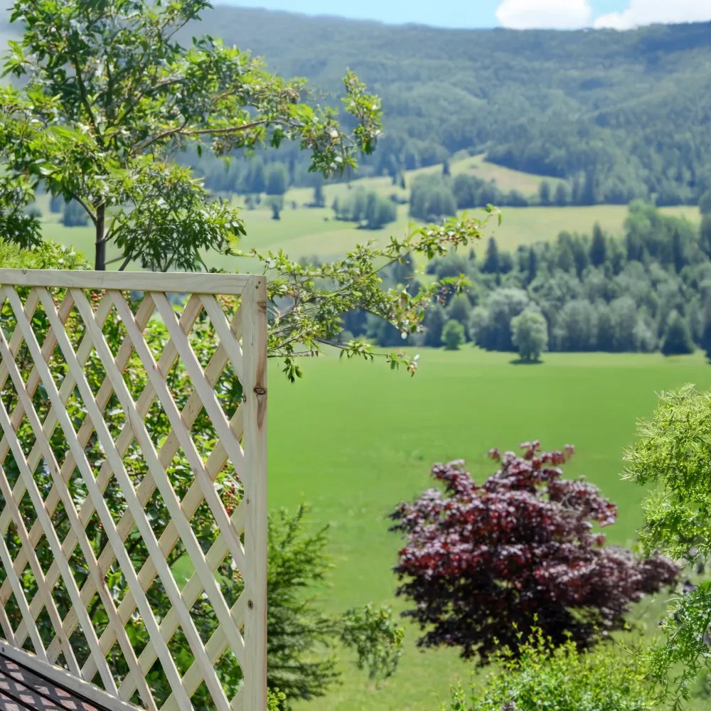 Ecran cu grilaj, natural, lemn, 90x120 cm, KALIFE TYP 2