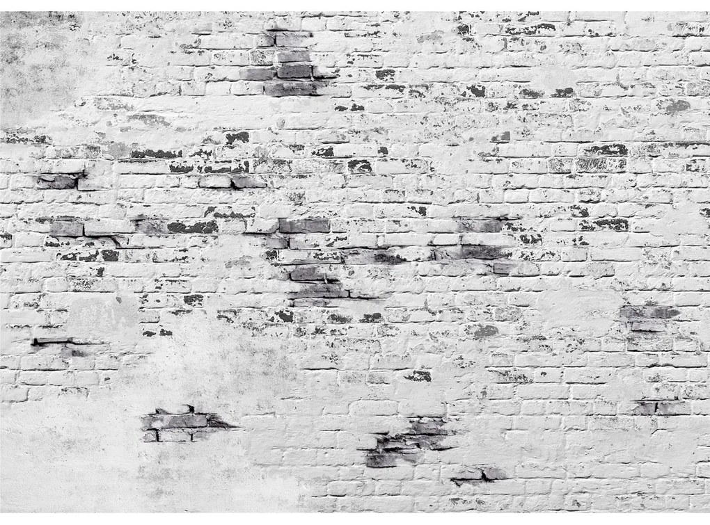 Fototapetă non-tessuta XXL Bricks 360 x 254 cm, 4părți