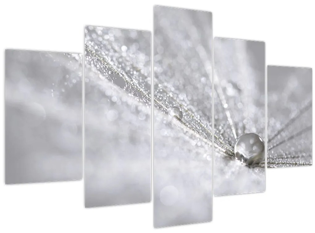 Tablou - Picătură de apă (150x105 cm)