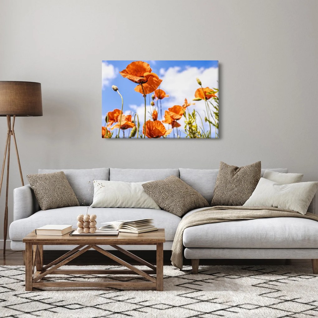 Tablou cu macii (90x60 cm)