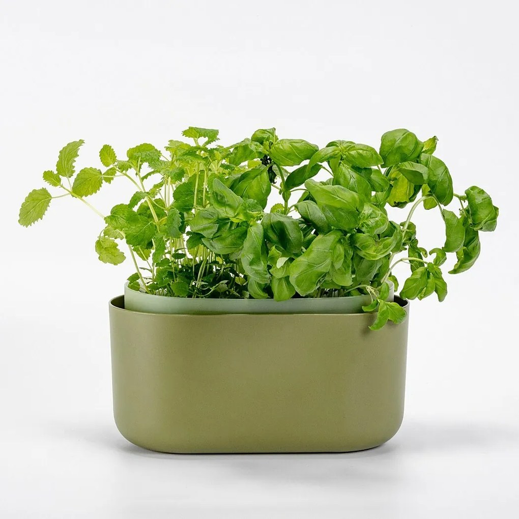Jardinieră cu auto-irigare Plastia, verde,31 x 16 cm