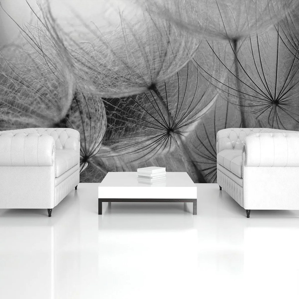 Fototapet - Detaliu păpădiilor (152,5x104 cm)