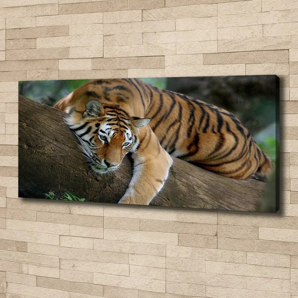 Tablou pe pânză Tiger pe un copac