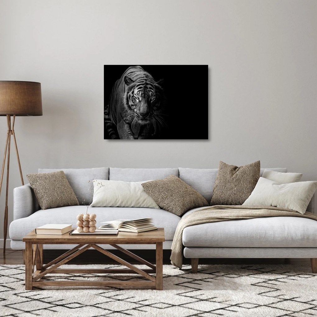 Tablou pe sticlă - Tigru sălbatic (70x50 cm)