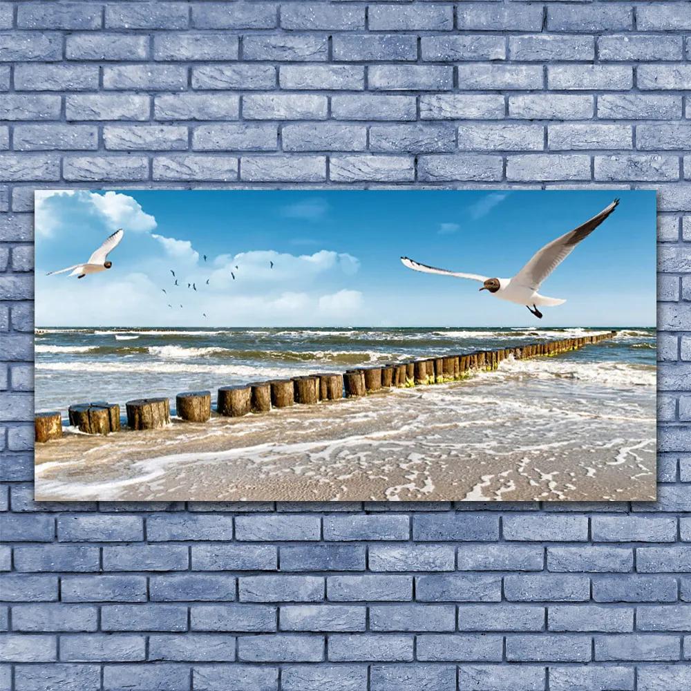 Tablouri acrilice Seagulls Sea Peisaj Gri Albastru Alb