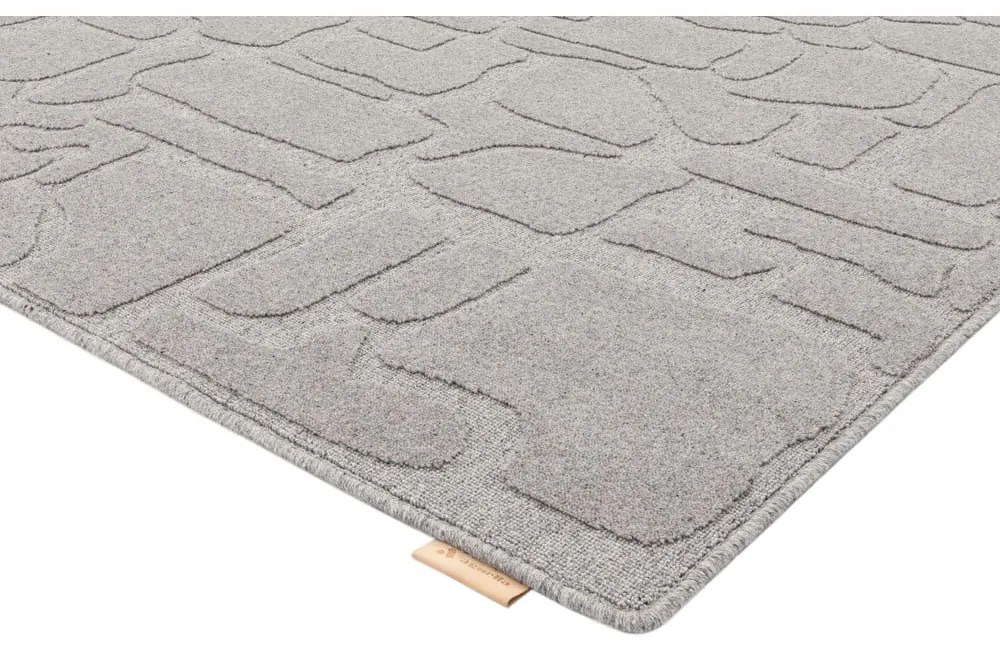 Covor gri din lână 200x300 cm Morphic Dunes – Agnella