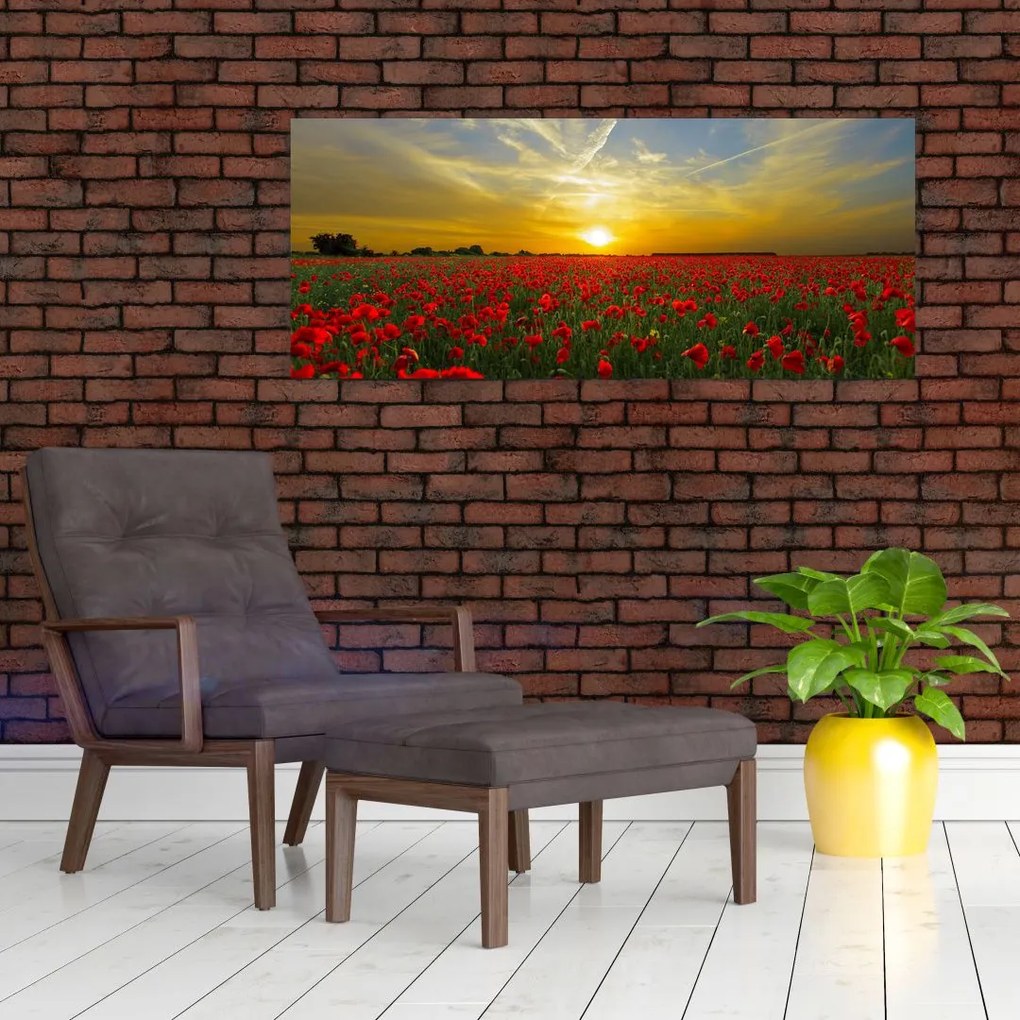 Tablou cu câmp cu maci (120x50 cm)