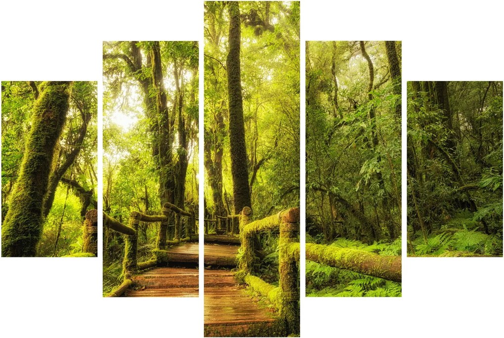 Tablou junglei cu mușchi (150x105 cm)