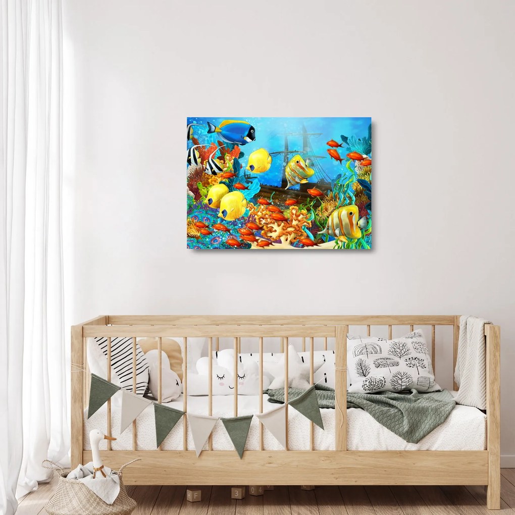 Tablou pe sticlă - Recif de corali colorat (70x50 cm)