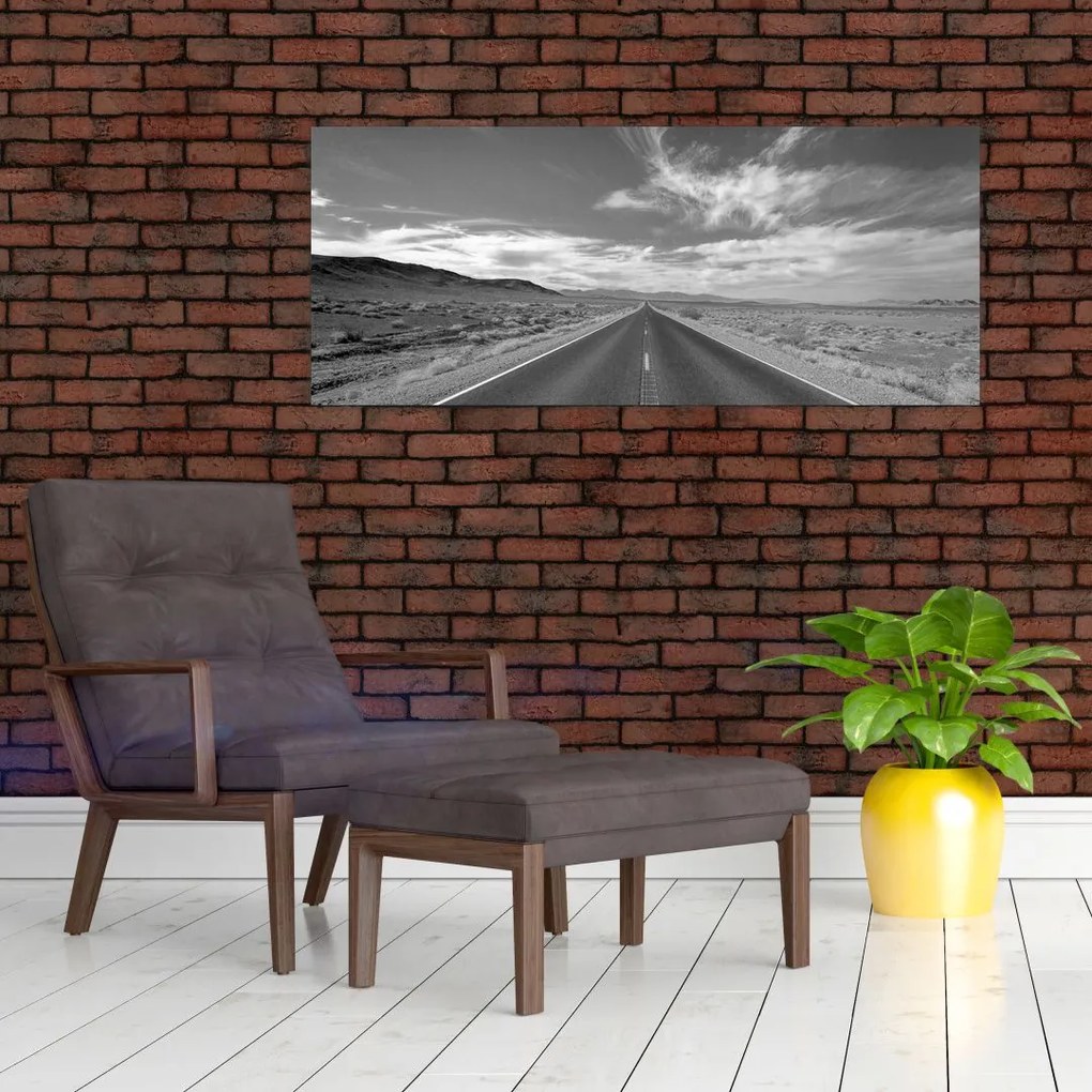 Tabloul cu autostrada (120x50 cm)