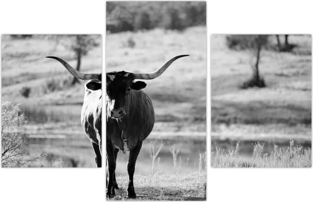 Tablou - Vacă,alb-negru (90x60 cm)