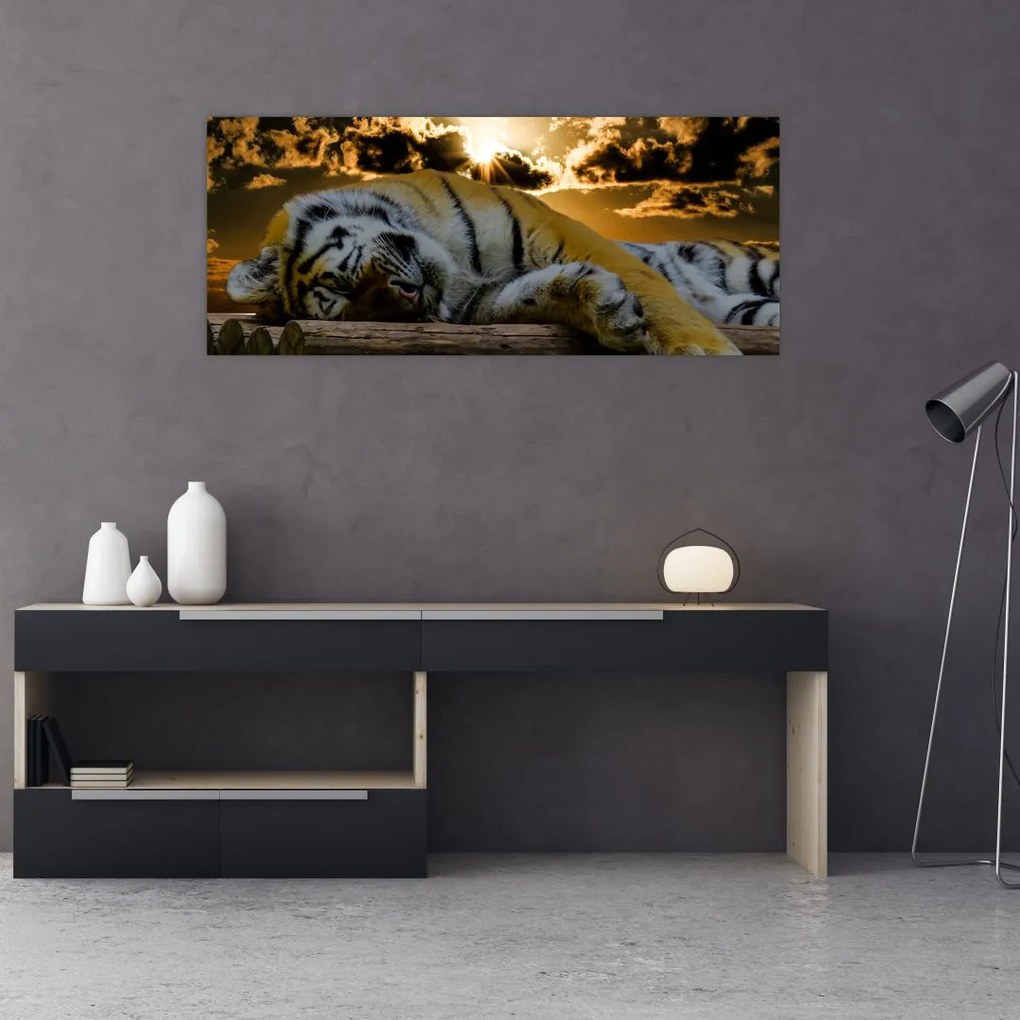 Tablou tigrul dormind (120x50 cm)