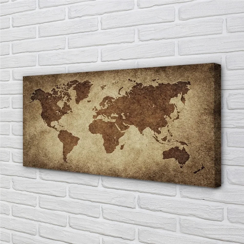 Tablouri canvas harta gri