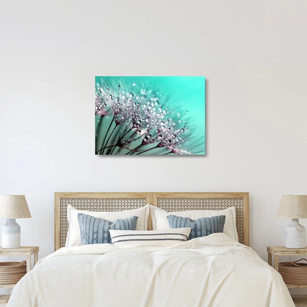 Tablou pe sticlă - planta cu rouă (70x50 cm)