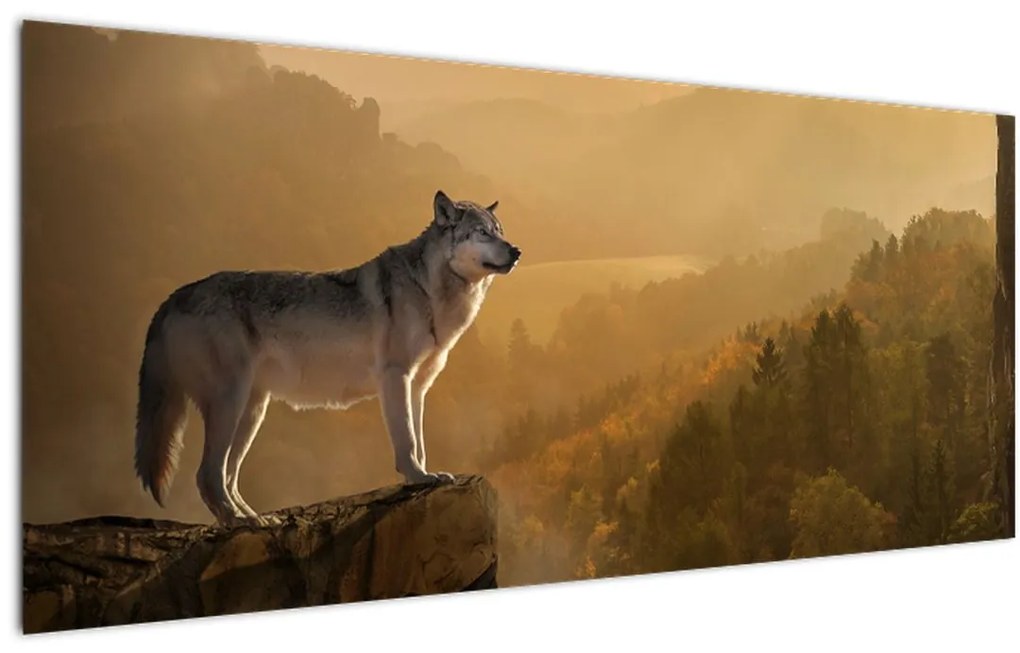 Tablou - Lup pe stăncă (120x50 cm)