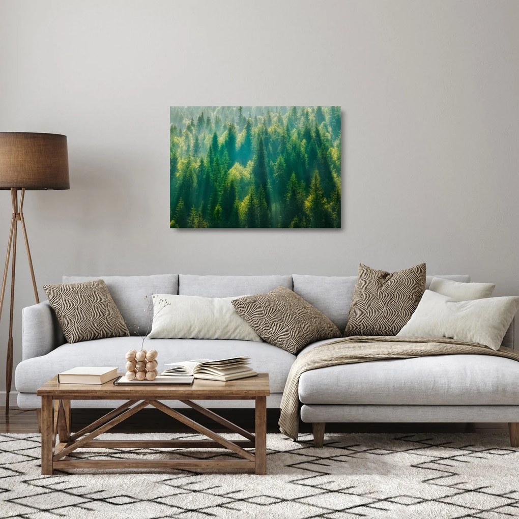 Tablou pe sticlă - Pădurea de brazi (70x50 cm)