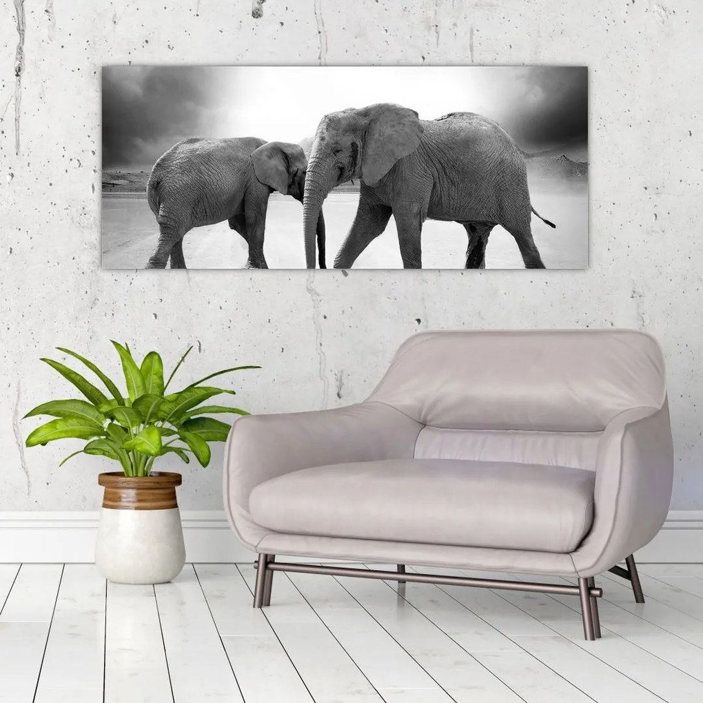 Tablou cu elefanți (120x50 cm)