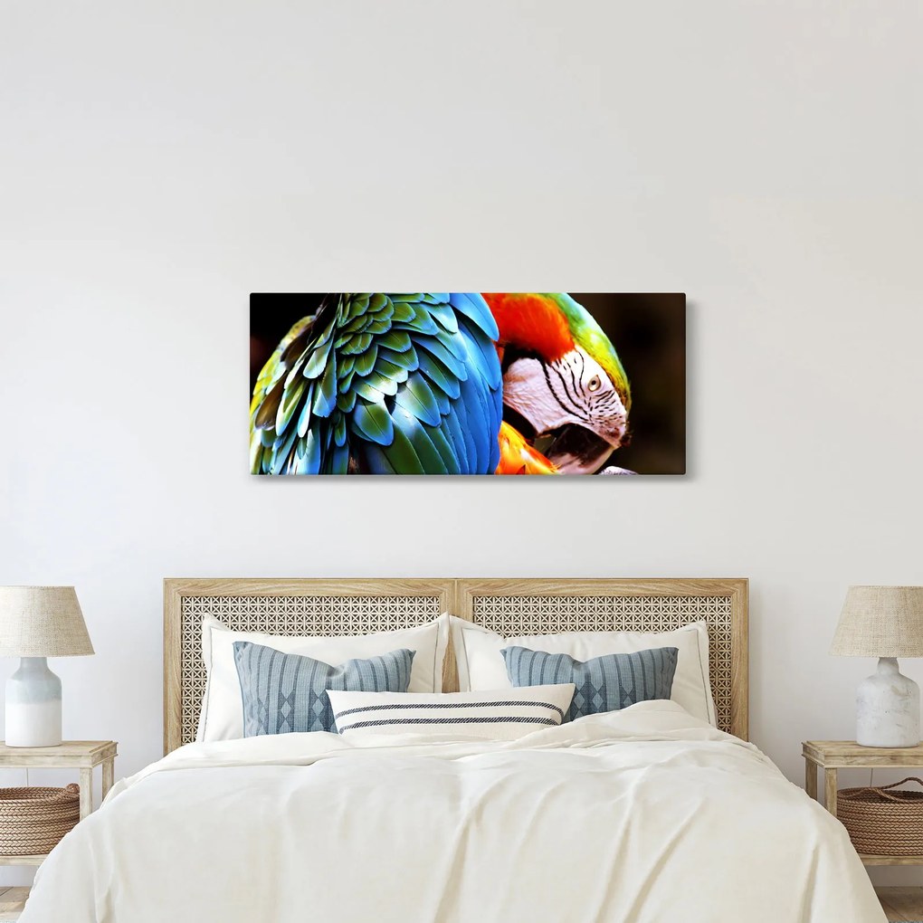 Tablou - Papagal (120x50 cm)