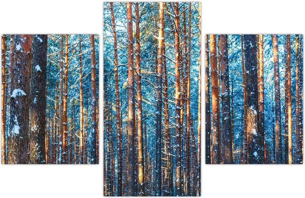 Tablou - Pădurea iarna (90x60 cm)