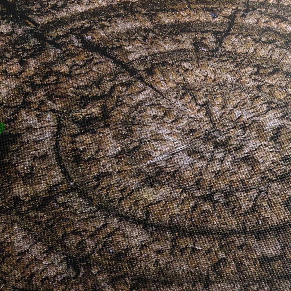 Tablou cu frunză pe trunchi de copac (90x60 cm)