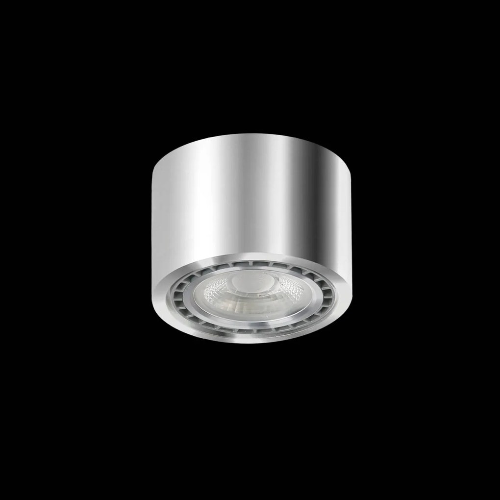 Spot aplicat de tavan/plafon ECO ALIX NEW crom ZZ AZ3495