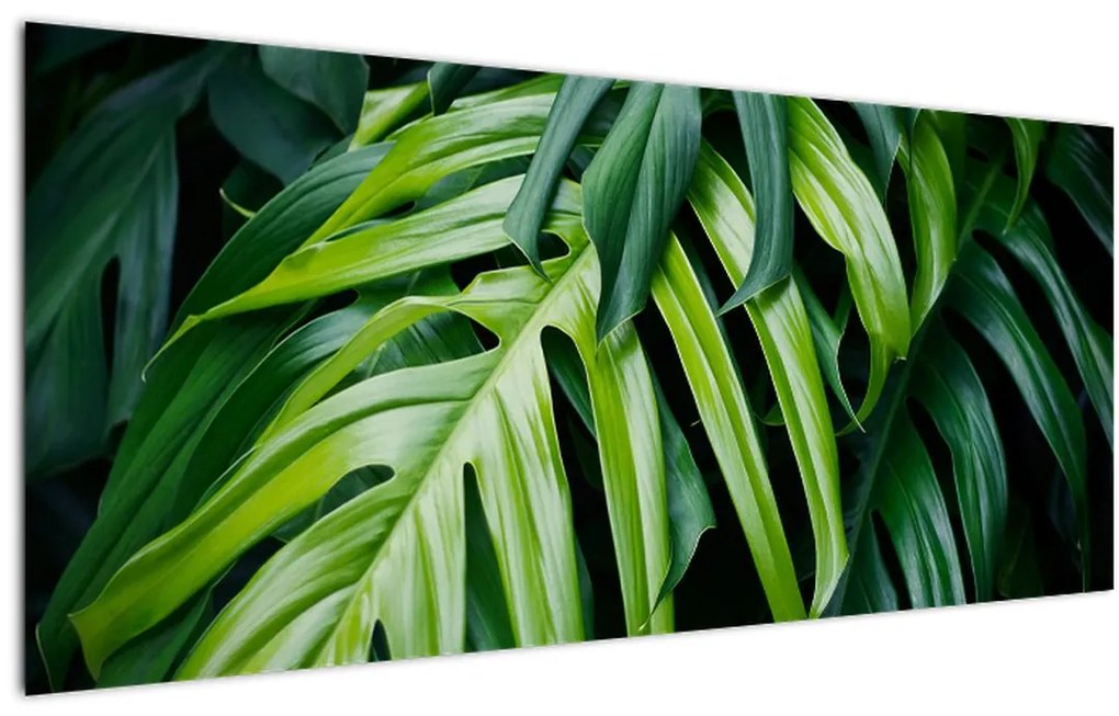 Tablou - Frunze tropicale (120x50 cm)