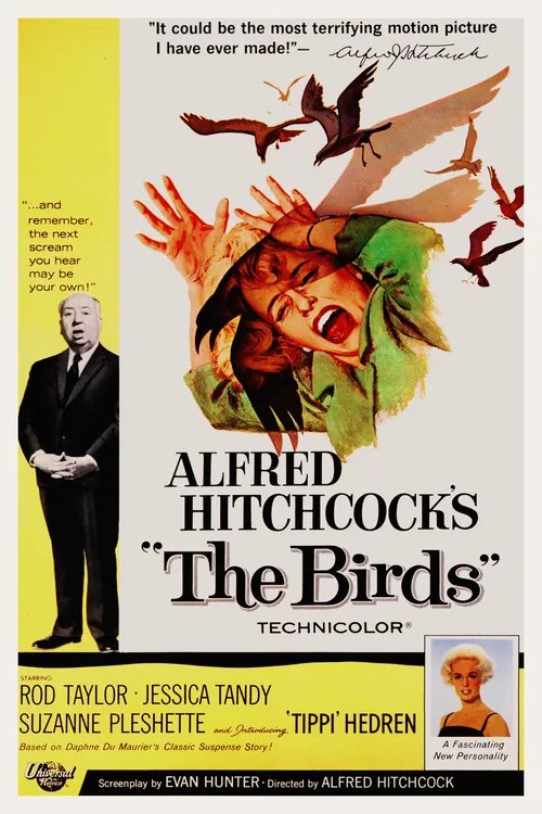 Ilustrație The Birds / Alfred Hitchcock / Tippi Hedren