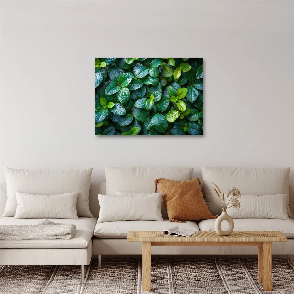 Tablou - Plante verzi (70x50 cm)