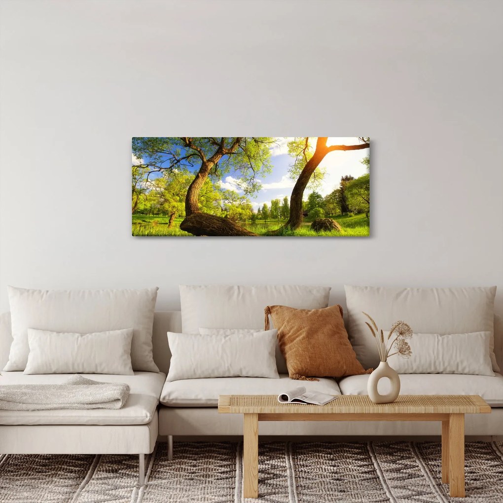 Tablou lunca ne primăvară (120x50 cm)
