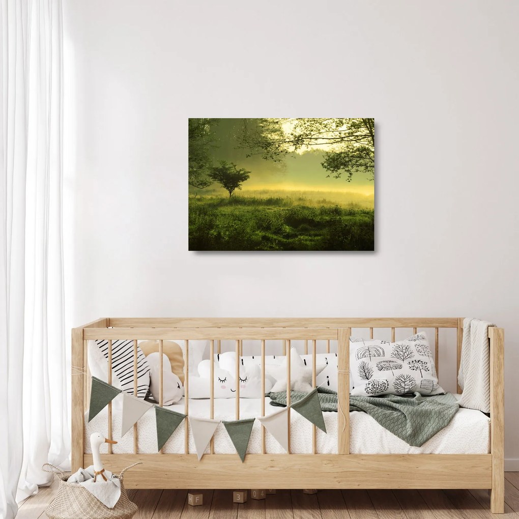 Tablou pe sticlă - Pădurea trezită (70x50 cm)