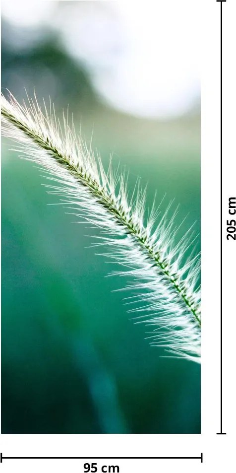 Fototapet pentru ușă - Fir de iarbă (95x205cm)