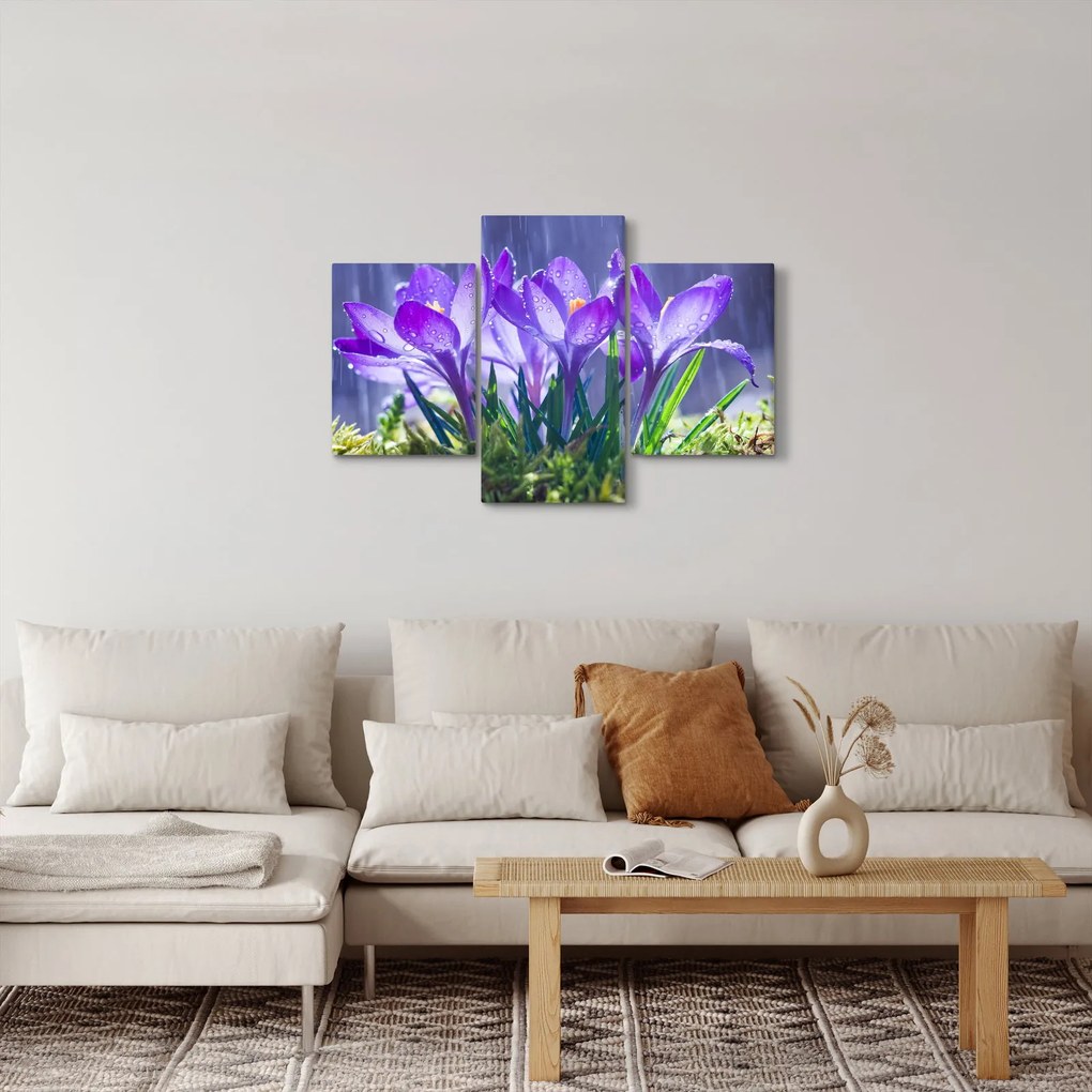 Tablou cuflori în ploaie (90x60 cm)