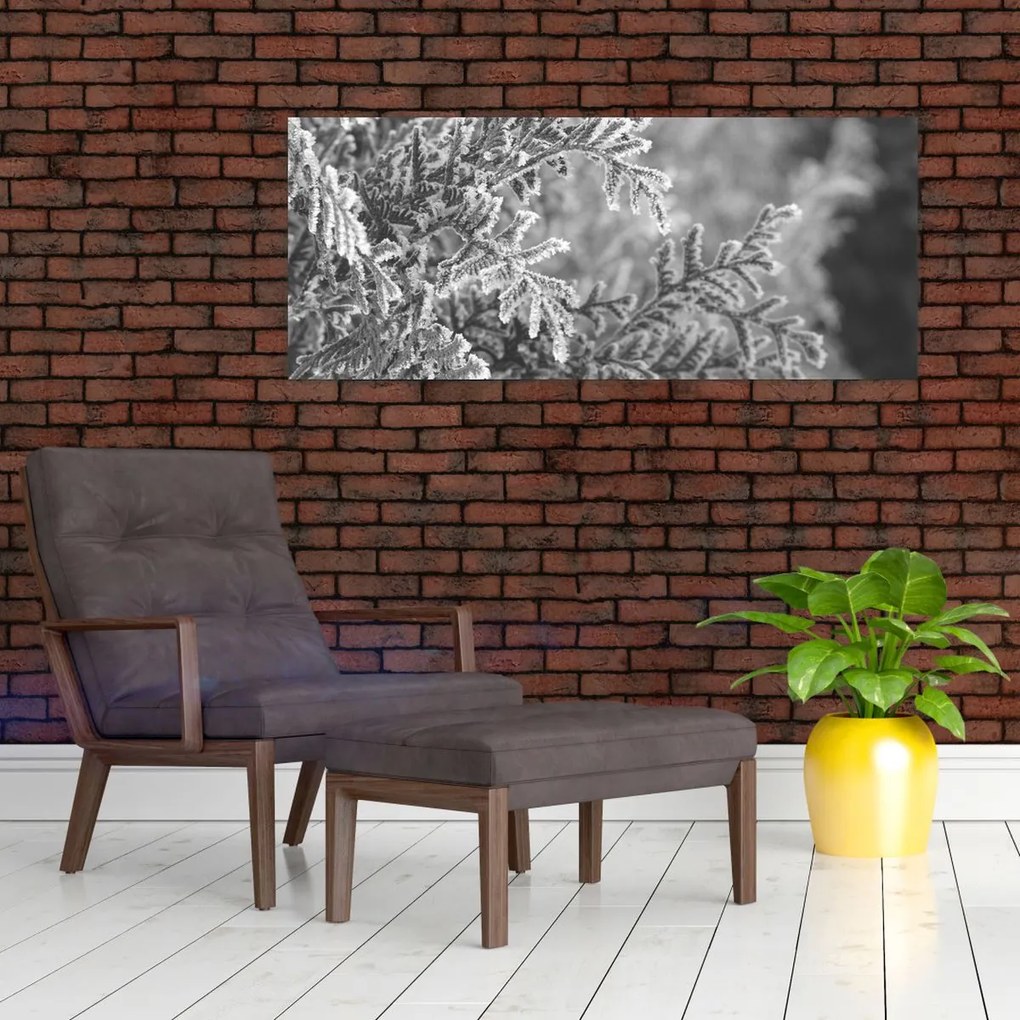 Tablou - Pădure de molid (120x50 cm)